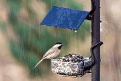 APS SideDish with Weather Guard